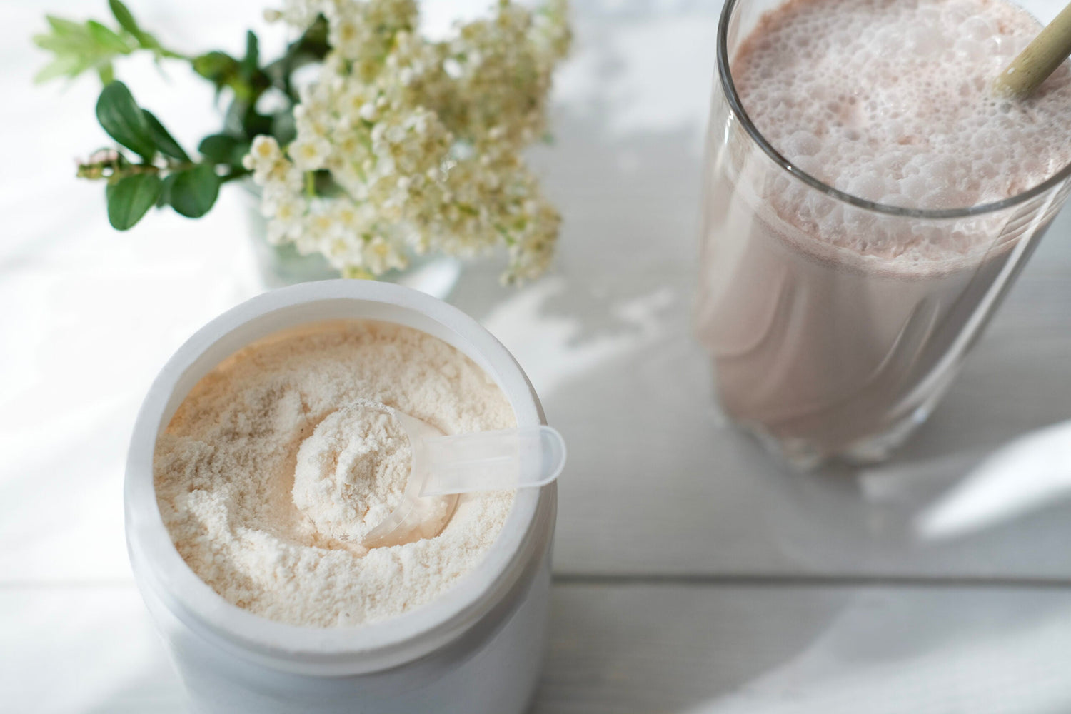 WHEY PROTEIN VS PLANT PROTEIN? WHAT THE STUDIES SHOW...