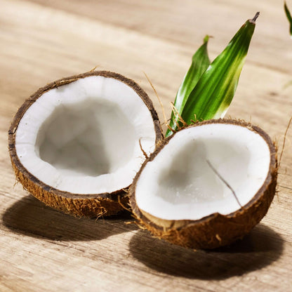 Nature Zen Essentials - Organic Plant-Based Coconut Protein Powder (coconut)