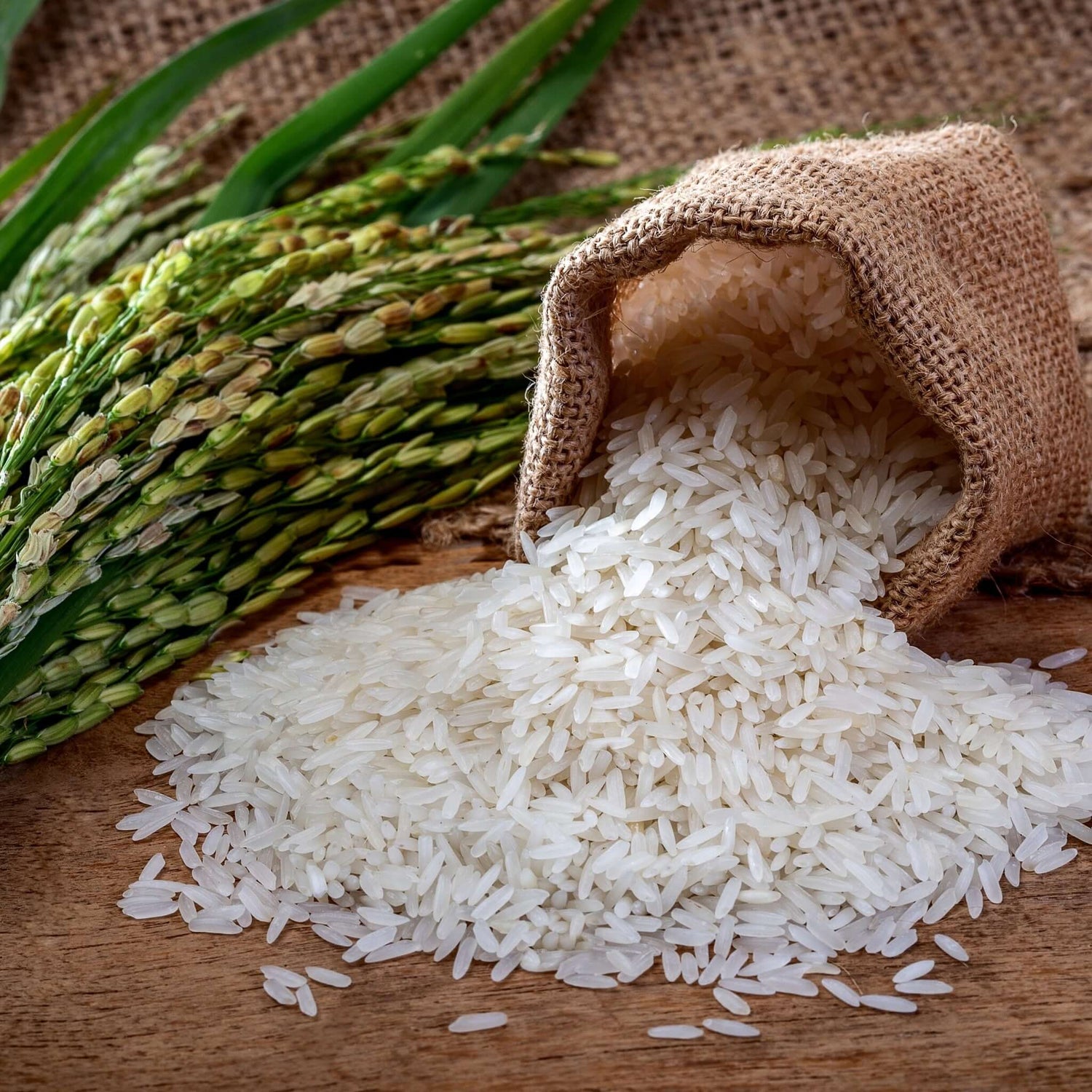 Nature Zen Origin - Organic Rice Protein Powder - Natural Velvet (rice)