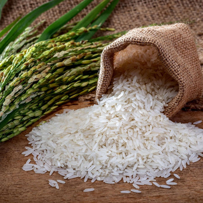 Nature Zen Origin - Organic Rice Protein Powder - Natural Velvet (rice)