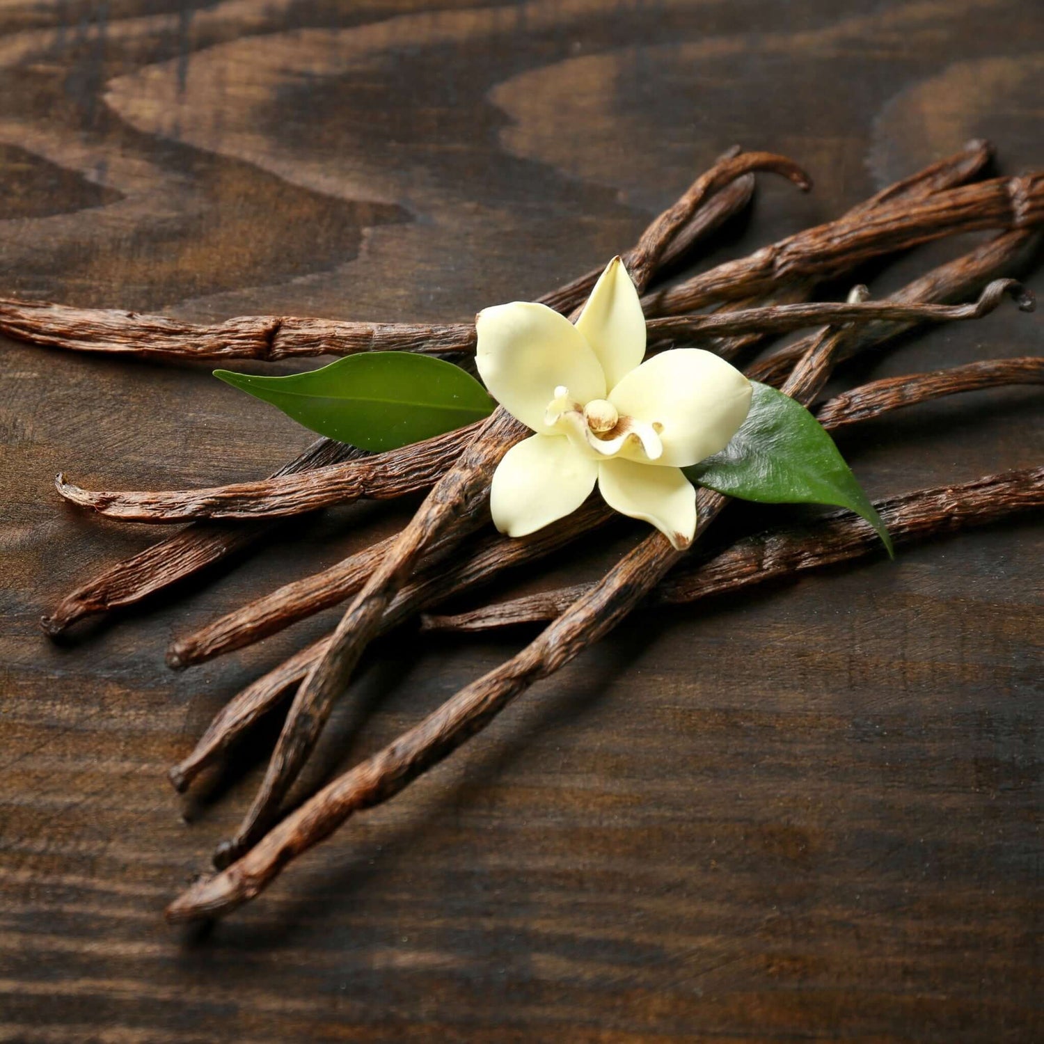 Nature Zen Origin - Organic Rice Protein Powder - Tahitian Vanilla (flower)